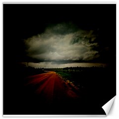 Dark Empty Road Canvas 20  X 20  (unframed) by dflcprints