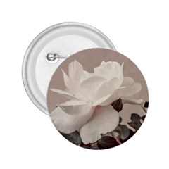 White Rose Vintage Style Photo In Ocher Colors 2 25  Button by dflcprints