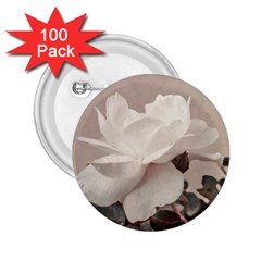 White Rose Vintage Style Photo In Ocher Colors 2 25  Button (100 Pack) by dflcprints