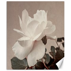 White Rose Vintage Style Photo In Ocher Colors Canvas 8  X 10  (unframed) by dflcprints