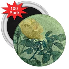 Yellow Rose Vintage Style  3  Button Magnet (100 Pack) by dflcprints