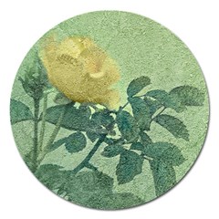 Yellow Rose Vintage Style  Magnet 5  (round) by dflcprints