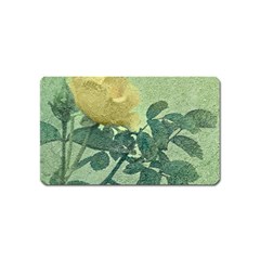 Yellow Rose Vintage Style  Magnet (name Card) by dflcprints