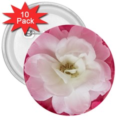 White Rose With Pink Leaves Around  3  Button (10 Pack) by dflcprints