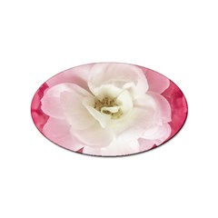 White Rose With Pink Leaves Around  Sticker (oval) by dflcprints