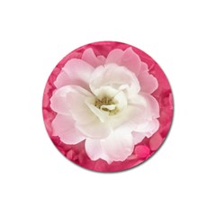 White Rose With Pink Leaves Around  Magnet 3  (round) by dflcprints