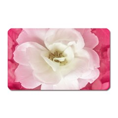 White Rose With Pink Leaves Around  Magnet (rectangular) by dflcprints