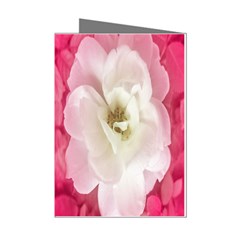 White Rose With Pink Leaves Around  Mini Greeting Card (8 Pack) by dflcprints