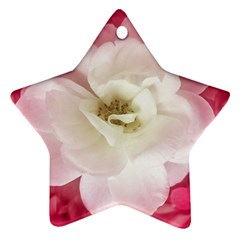 White Rose With Pink Leaves Around  Star Ornament (two Sides) by dflcprints