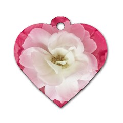 White Rose With Pink Leaves Around  Dog Tag Heart (two Sided) by dflcprints