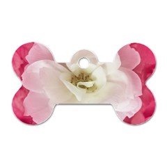 White Rose With Pink Leaves Around  Dog Tag Bone (one Sided) by dflcprints