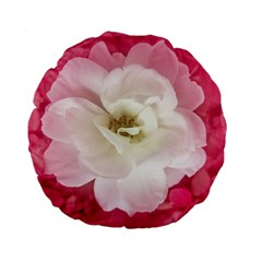 White Rose With Pink Leaves Around  15  Premium Flano Round Cushion  by dflcprints