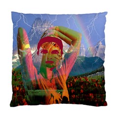 Fusion With The Landscape Cushion Case (single Sided)  by icarusismartdesigns