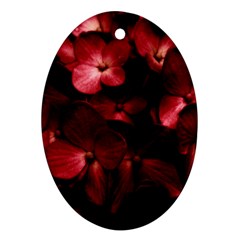 Red Flowers Bouquet In Black Background Photography Oval Ornament by dflcprints