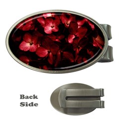 Red Flowers Bouquet In Black Background Photography Money Clip (oval) by dflcprints