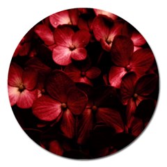 Red Flowers Bouquet In Black Background Photography Magnet 5  (round) by dflcprints