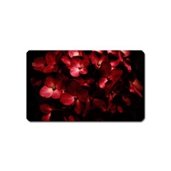 Red Flowers Bouquet In Black Background Photography Magnet (name Card) by dflcprints