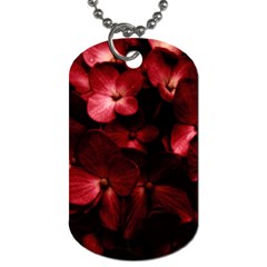 Red Flowers Bouquet In Black Background Photography Dog Tag (two-sided)  by dflcprints