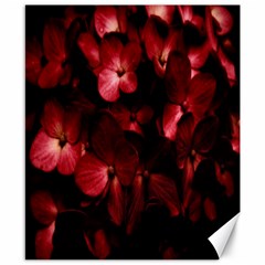 Red Flowers Bouquet In Black Background Photography Canvas 8  X 10  (unframed) by dflcprints