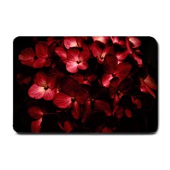 Red Flowers Bouquet In Black Background Photography Small Door Mat by dflcprints