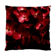 Red Flowers Bouquet In Black Background Photography Cushion Case (single Sided)  by dflcprints