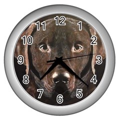 Chocolate Lab Wall Clock (silver) by LabsandRetrievers