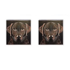 Chocolate Lab Cufflinks (square) by LabsandRetrievers