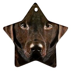 Chocolate Lab Star Ornament (two Sides) by LabsandRetrievers