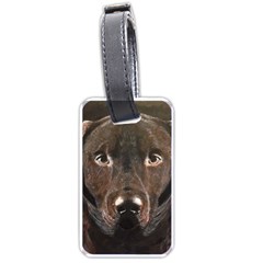 Chocolate Lab Luggage Tag (one Side) by LabsandRetrievers