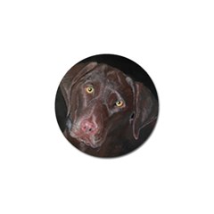 Inquisitive Chocolate Lab Golf Ball Marker by LabsandRetrievers