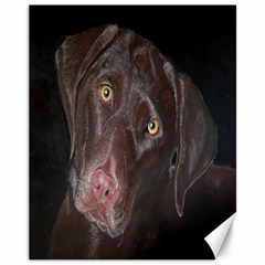 Inquisitive Chocolate Lab Canvas 11  X 14  (unframed) by LabsandRetrievers