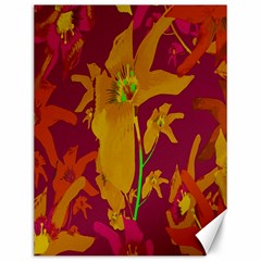 Tropical Hawaiian Style Lilies Collage Canvas 12  X 16  (unframed) by dflcprints