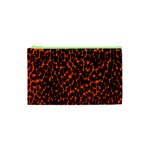 Florescent Leopard Print  Cosmetic Bag (XS) Front
