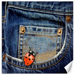 Blue Jean Lady Bug Canvas 12  x 12  (Unframed)