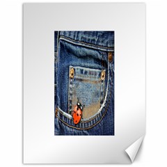 Blue Jean Lady Bug Canvas 36  x 48  (Unframed)