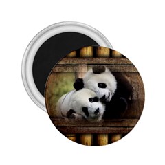 Panda Love 2 25  Button Magnet