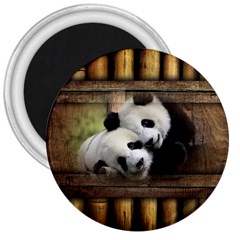 Panda Love 3  Button Magnet by TheWowFactor