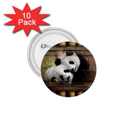 Panda Love 1 75  Button (10 Pack) by TheWowFactor