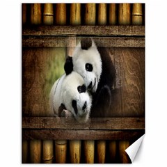 Panda Love Canvas 18  X 24  (unframed)