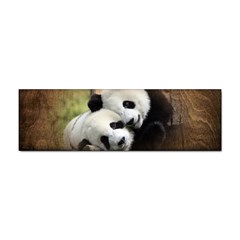 Panda Love Bumper Sticker by TheWowFactor