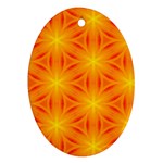 Cute Pretty Elegant Pattern Oval Ornament (Two Sides) Front