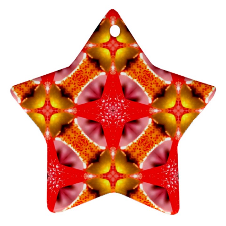 Cute Pretty Elegant Pattern Star Ornament (Two Sides)