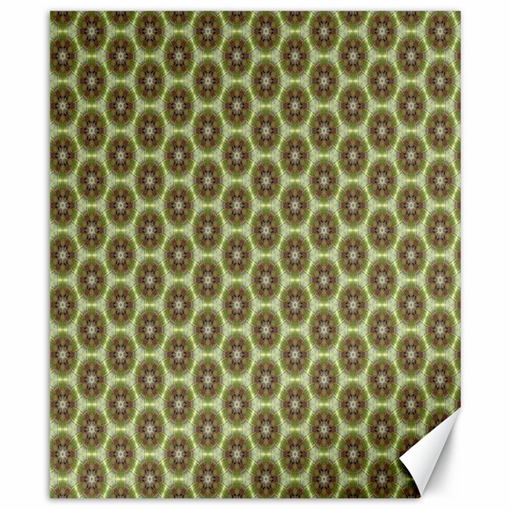 Cute Pretty Elegant Pattern Canvas 8  x 10  (Unframed)