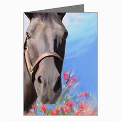 Miwok Horses Greeting Card (8 Pack) by JulianneOsoske