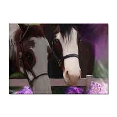 Two Horses A4 Sticker 10 Pack by JulianneOsoske