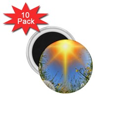 Dandelions 1 75  Button Magnet (10 Pack)