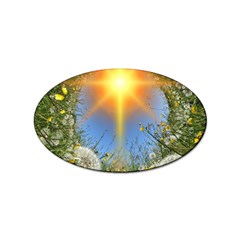 Dandelions Sticker 10 Pack (oval)