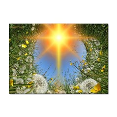 Dandelions A4 Sticker 10 Pack