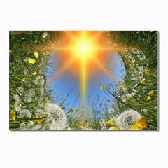 Dandelions Postcards 5  X 7  (10 Pack)