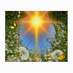 Dandelions Glasses Cloth (small, Two Sided)